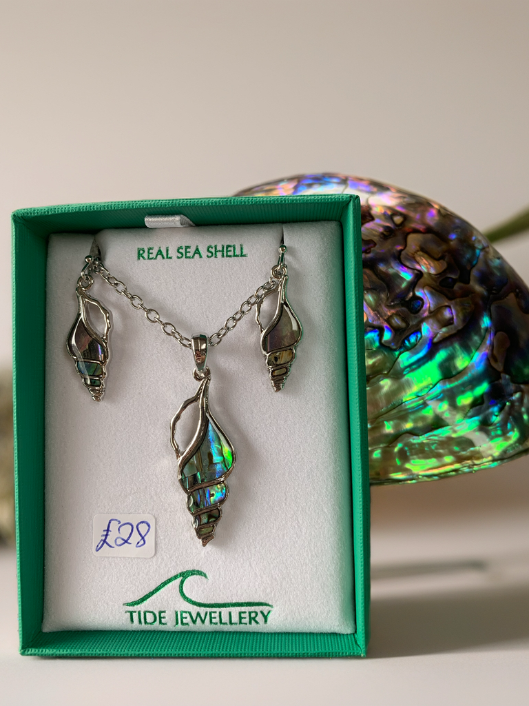 Sea Shell Jewellery Set